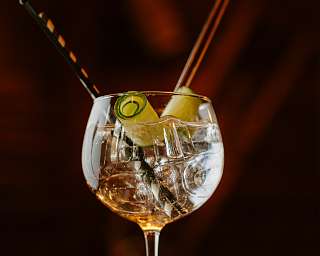 Gin Tonic