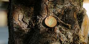 Alpine Hotel Perren Nachhaltigkeit Zermatt Green Card Nature 6 Alpine Hotel Perren Nachhaltigkeit Zermatt Green Card Nature 6